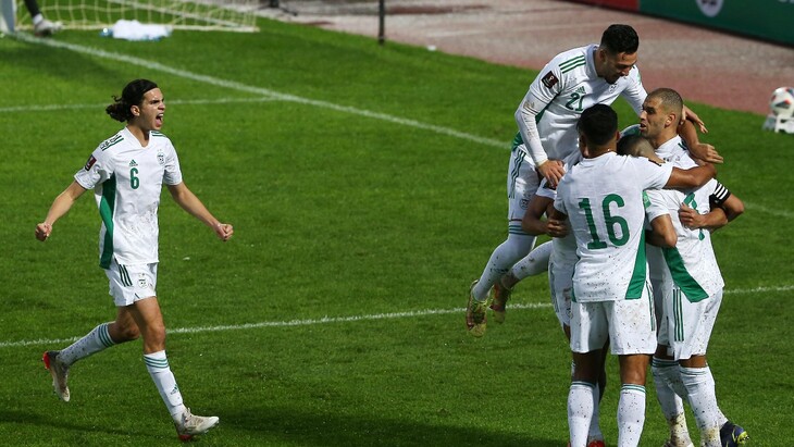 Алжир обыграл Камерун, Тунис победил Мали в первых матчах за выход на ЧМ-2022