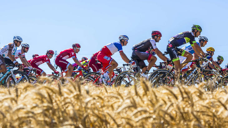 «Тур де Франс» перенесут из-за коронавируса
